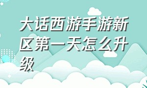 大话西游手游新区第一天怎么升级