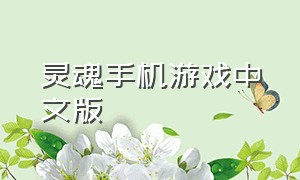 灵魂手机游戏中文版