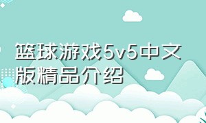 篮球游戏5v5中文版精品介绍