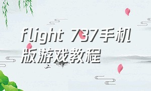 flight 737手机版游戏教程