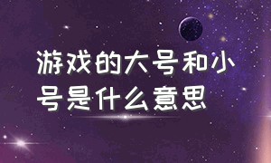 游戏的大号和小号是什么意思