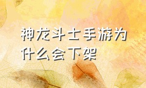 神龙斗士手游为什么会下架