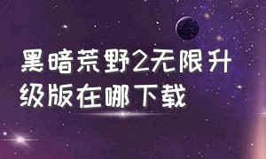 黑暗荒野2无限升级版在哪下载