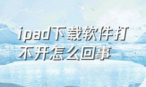 ipad下载软件打不开怎么回事