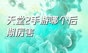 天堂2手游哪个后期厉害（天堂2手游官网下载）