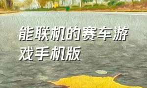 能联机的赛车游戏手机版