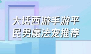 大话西游手游平民男魔法宠推荐