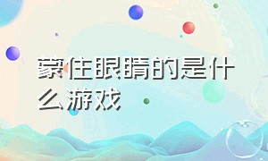 蒙住眼睛的是什么游戏