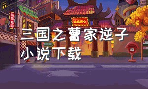 三国之曹家逆子小说下载