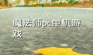 魔法师pc单机游戏