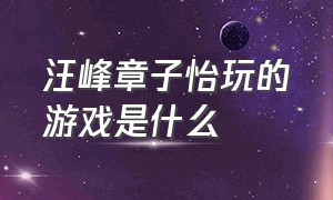 汪峰章子怡玩的游戏是什么