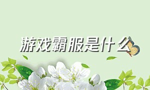 游戏霸服是什么（游戏全部区服是什么意思）