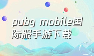 pubg mobile国际服手游下载