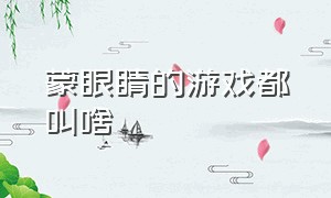 蒙眼睛的游戏都叫啥