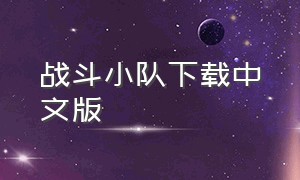 战斗小队下载中文版