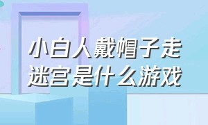 小白人戴帽子走迷宫是什么游戏