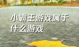 小霸王游戏属于什么游戏