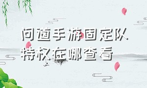 问道手游固定队特权在哪查看