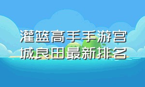 灌篮高手手游宫城良田最新排名