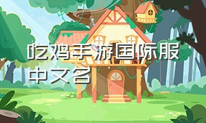 吃鸡手游国际服中文名