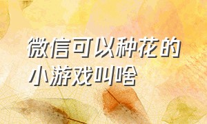 微信可以种花的小游戏叫啥