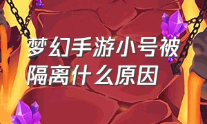 梦幻手游小号被隔离什么原因