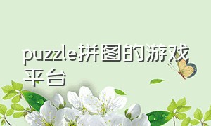 puzzle拼图的游戏平台（puzzle游戏如何下载）