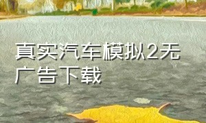 真实汽车模拟2无广告下载