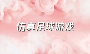 仿真足球游戏