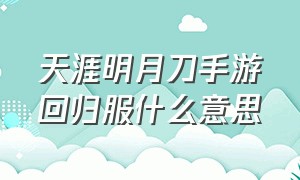 天涯明月刀手游回归服什么意思