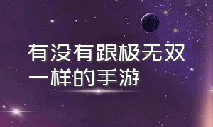 有没有跟极无双一样的手游（一款和极无双差不多的游戏）