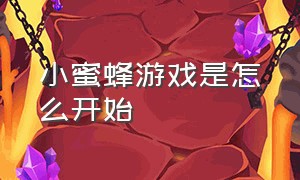 小蜜蜂游戏是怎么开始