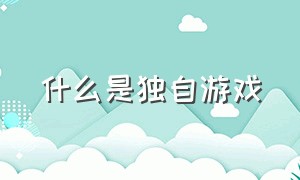 什么是独自游戏