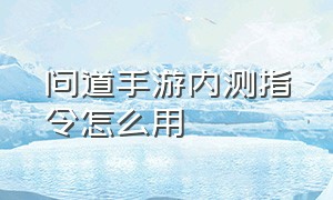 问道手游内测指令怎么用