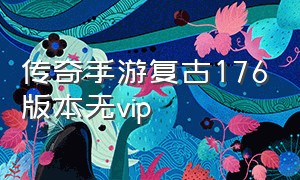 传奇手游复古176版本无vip