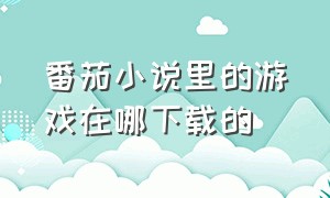 番茄小说里的游戏在哪下载的（番茄小说里面的游戏怎么找不到）