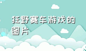 狂野赛车游戏的图片