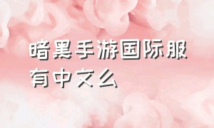 暗黑手游国际服有中文么