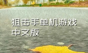 狙击手单机游戏中文版