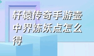 轩辕传奇手游壶中界炼妖点怎么得