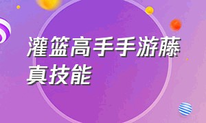 灌篮高手手游藤真技能