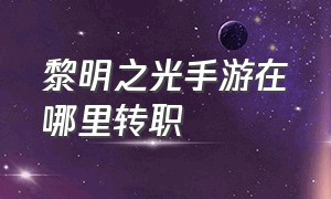 黎明之光手游在哪里转职（黎明之光官网手游电脑版）