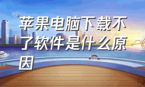 苹果电脑下载不了软件是什么原因