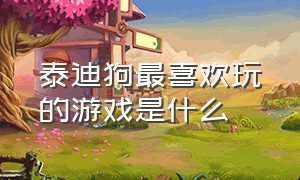 泰迪狗最喜欢玩的游戏是什么（两个多月的泰迪玩什么游戏）