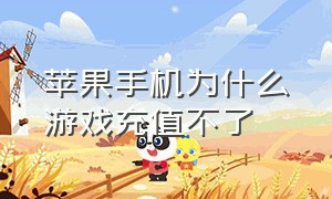 苹果手机为什么游戏充值不了