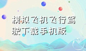 模拟飞机飞行驾驶下载手机版