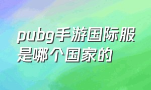 pubg手游国际服是哪个国家的（pubg国际服手游是谁开发的）