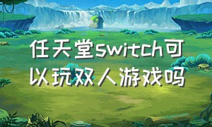 任天堂switch可以玩双人游戏吗