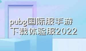 pubg国际服手游下载体验服2022