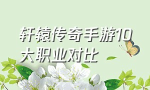 轩辕传奇手游10大职业对比